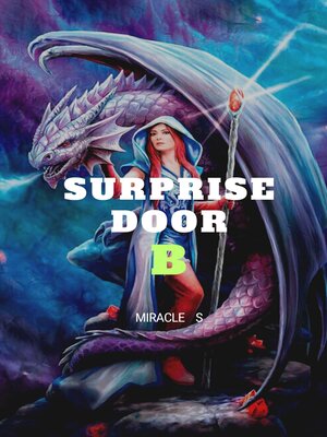 cover image of SURPRISE DOOR B